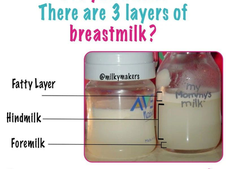 3 Layers of Breastmilk