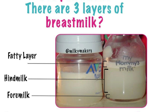3 Layers of Breastmilk
