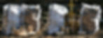 new-ourwood.jpg