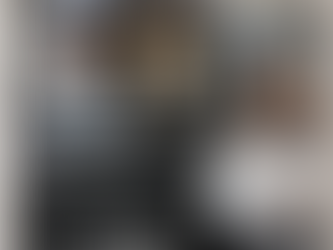 The new Malibu Genius – Premiere in France at the Salon VDL 2025