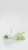SG_Indeco_About Us_Recogonition Mobile.webp