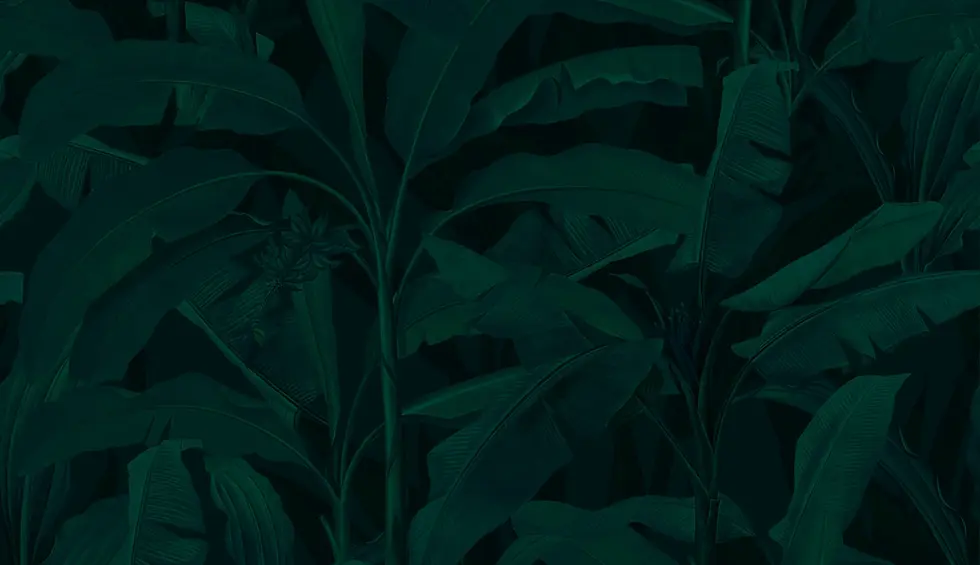 Copy of tropical_foliage.webp