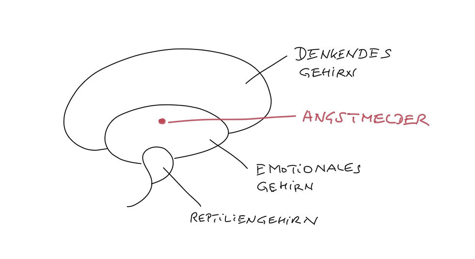 In Einklang mit mir sein - Teil 1 - mein Gehirn I Achtsamkeit Blog