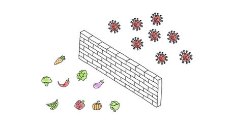 Mein Immunsystem stärken - Ernährung und Fasten