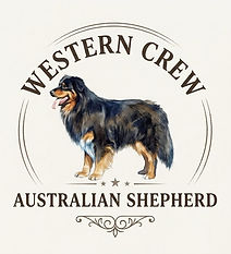 Western Crew logo.jpeg