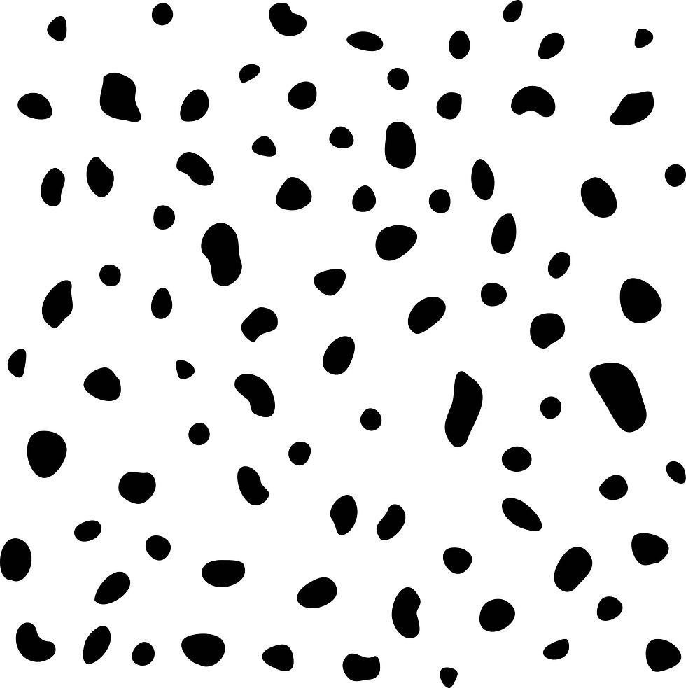 Caw Stretch fabric, baby fabric by the yard