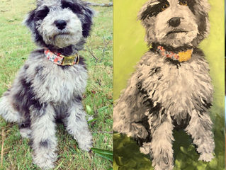 Dog Portraits