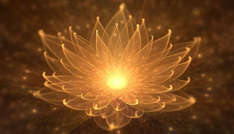 Tantra flower.jpg