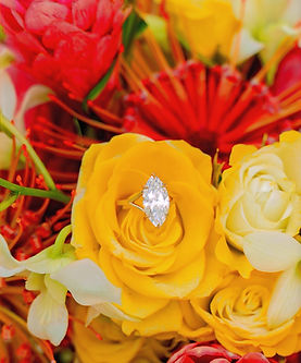 bigislandminiportraits_engagment2_edited.jpg