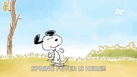 snoopy-dancespring.gif