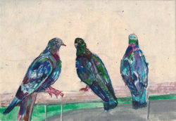 Pigeons sitting