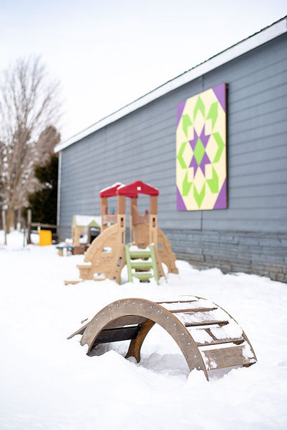 Barrie-Collingwood-Creemore-Family-Photographer-Hillary-West-Photography-Rewilding-winter-