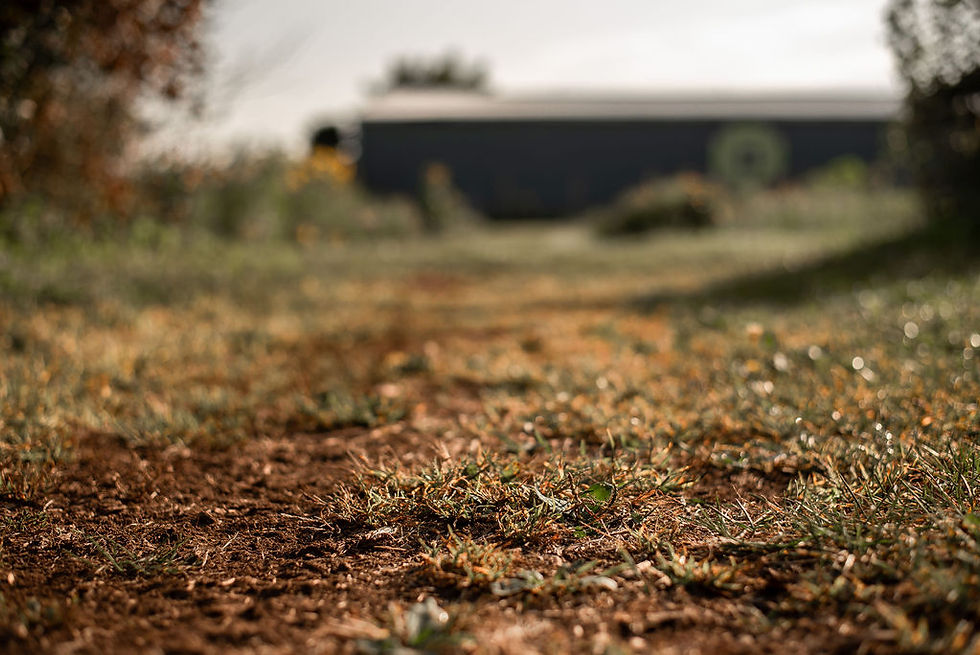 Barrie-Collingwood-Wasaga-Family-Photographer-Hillary-West-Photography-Rewilding-Moondance