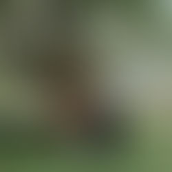 The Ultimate Proposal Checklist