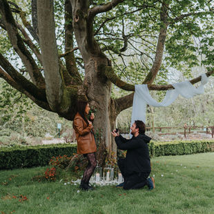 The Ultimate Proposal Checklist