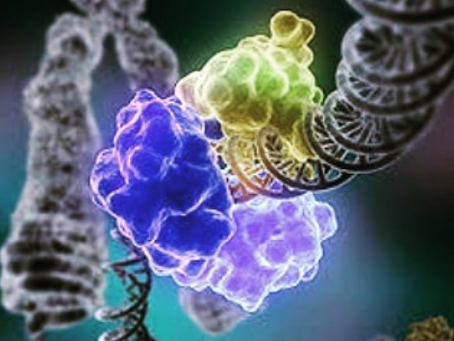 DNA Tamiri