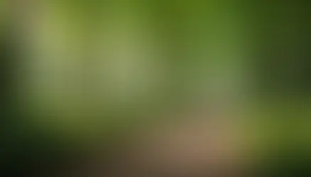 Embracing the Unknown: Navigating Unwelcome Change with Confidence