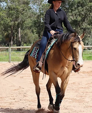 Equestrian Workout Plan Equestrian Workout Plan
