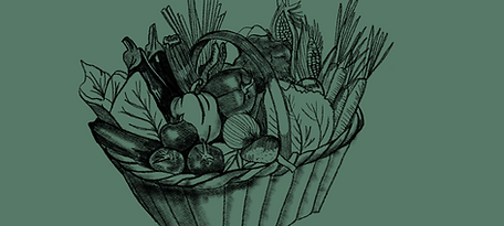 Untitled design (24).png