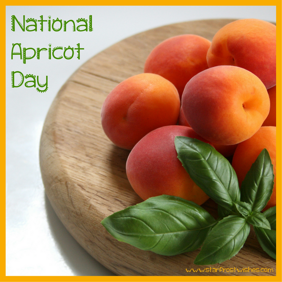 Apricot Day