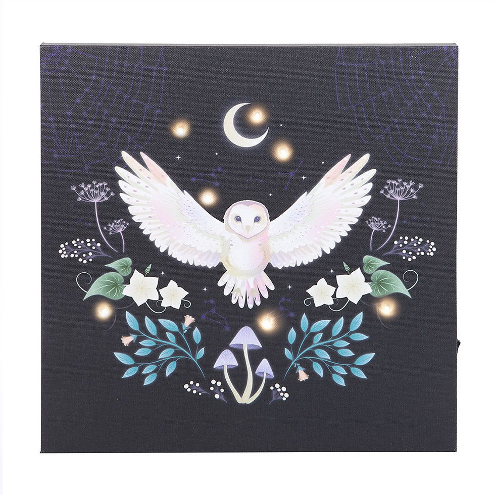 Thumbnail: LED Light Up Canvas Plaques