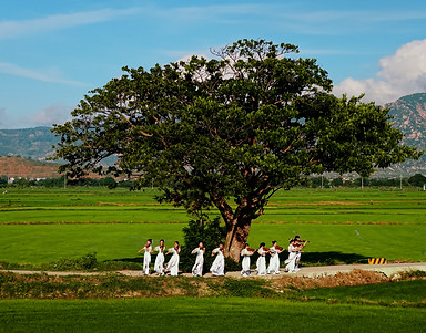 Học Violin tại nha trang cùng đội ngũ giảng viên chuyên môn cao tại Arista Music Center. Chương trình dành cho trẻ em, thiếu nhi và người lớn