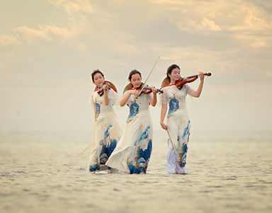Học Violin tại nha trang cùng đội ngũ giảng viên chuyên môn cao tại Arista Music Center. Chương trình dành cho trẻ em, thiếu nhi và người lớn
