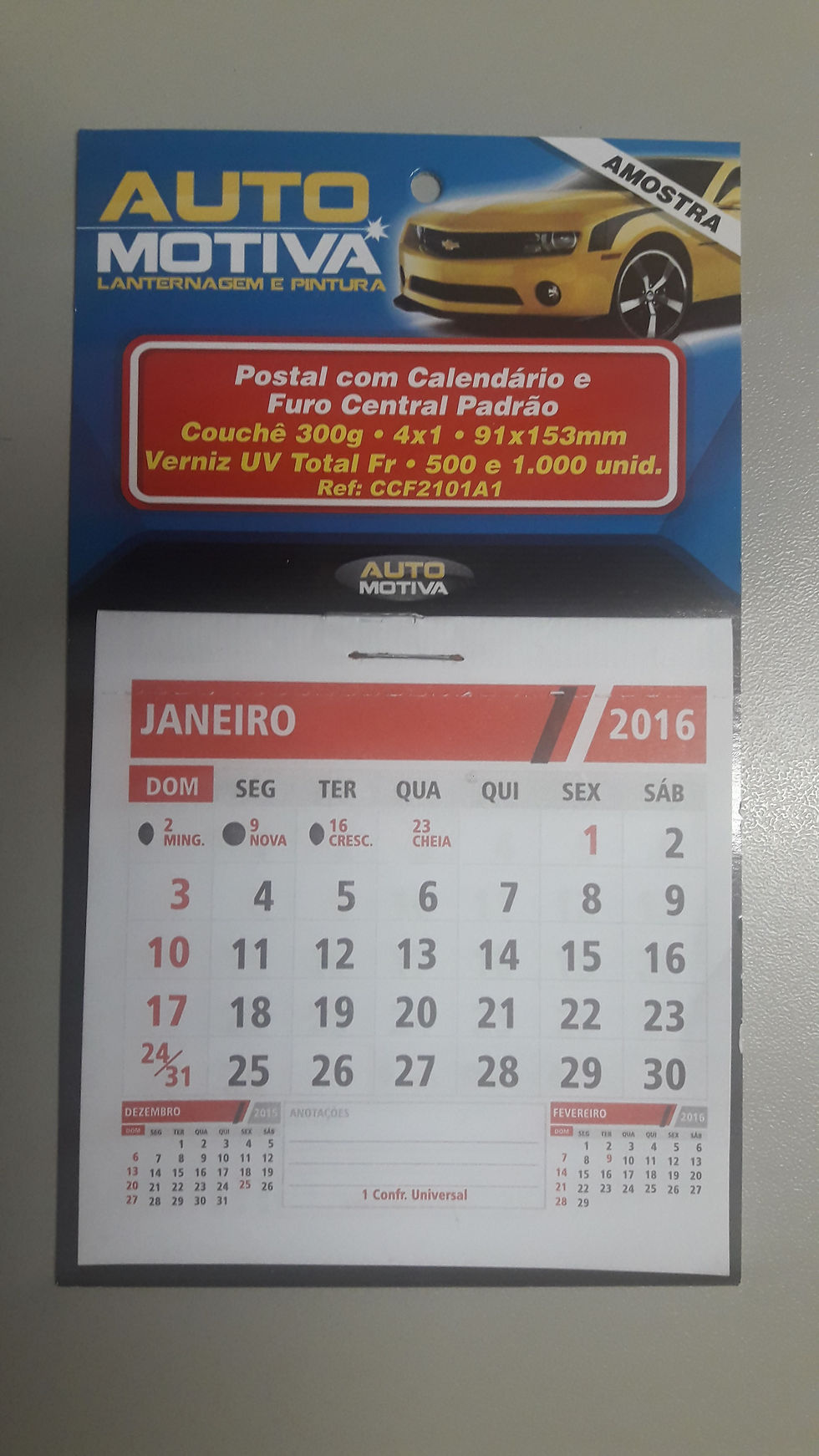 Miniatura: 9 X 15 cm • com Imã