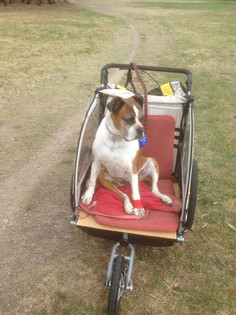 Graham - Adult (5).jpg