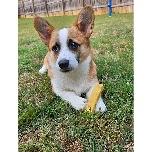 Resized(1768664393837)_Resized_Resized_20240507_192043_1715124114148_1715124115378_edited.