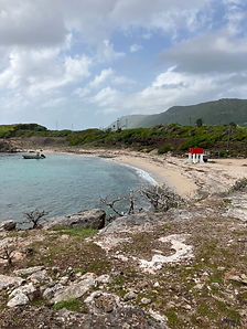 une plage de la Désirade