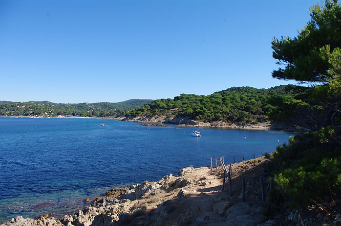 The wild luxury coastline of La Croix-Valmer on the French Riviera.