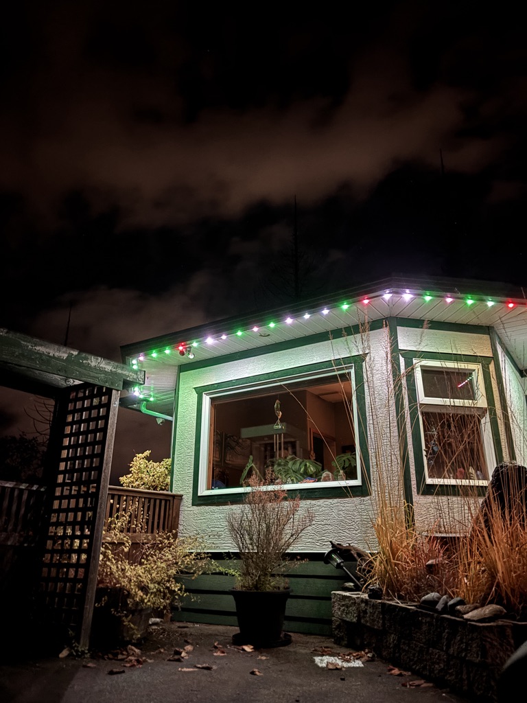 Fixed LED lighting on a Nanaimo, BC storefront, offering smart app control, dimmable energy-saving LEDs, and discreet tracks 