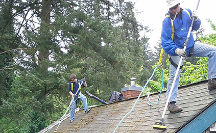Residential window cleaning in Parksville – spotless, streak-free windows for a brighter home.