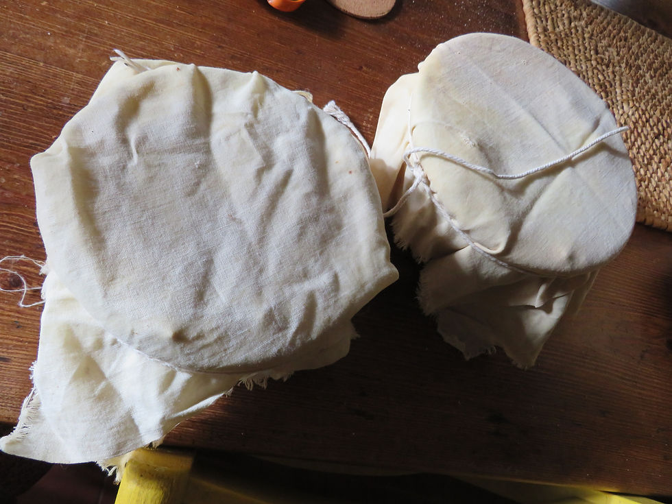 Christmas Puddings