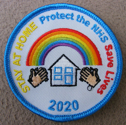 Protect the NHS Badge