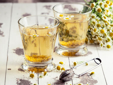 Fitoterapia: La Ciencia de Sanar con Plantas