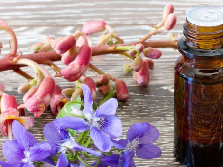 Las flores de Bach: Una terapia natural para mejorar tu bienestar emocional.