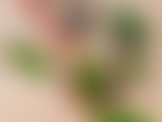 Terapias naturales para el control de la ansiedad: opciones efectivas y sin efectos secundarios