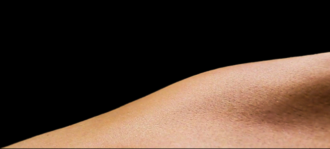 Imagem com a persiana dos anos de trabalhos separadas por décadas