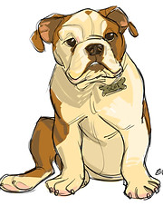 bulldog.jpg