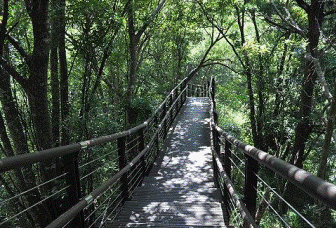 image022.gif