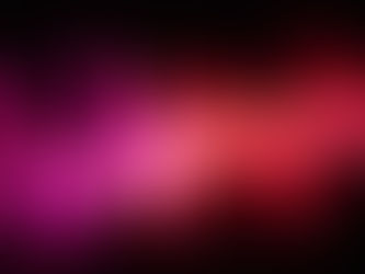 Vibrant pink and red waves pulse across a black background, creating an energetic, dynamic pattern reminiscent of sound or light waves.