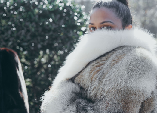 lady in fur coat