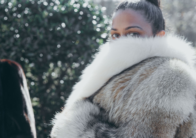 lady in fur coat