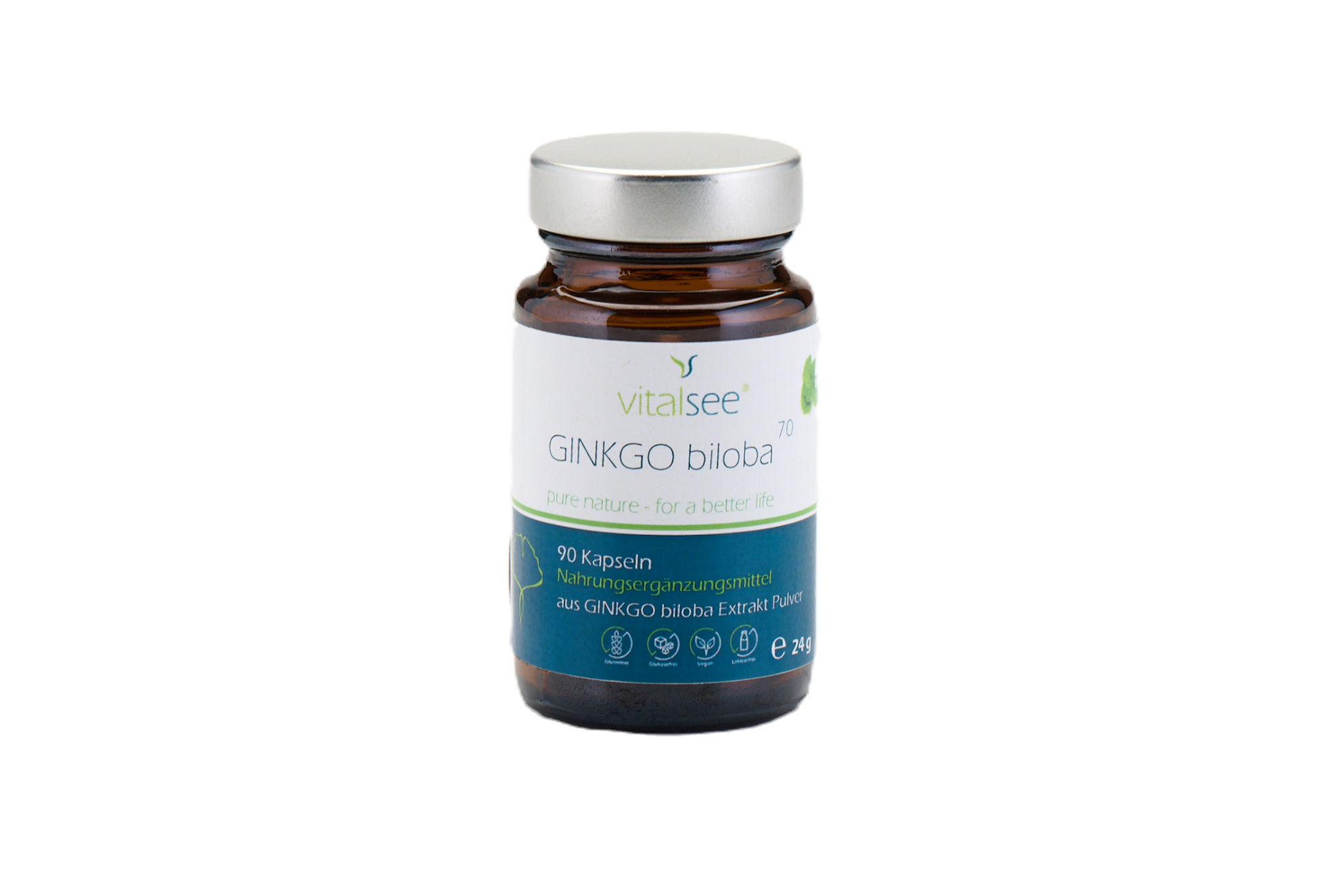 GINKGO biloba 70 Extrakt