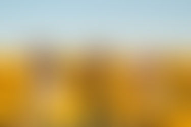 WOHLBEFINDEN FÜR DIE FRAU