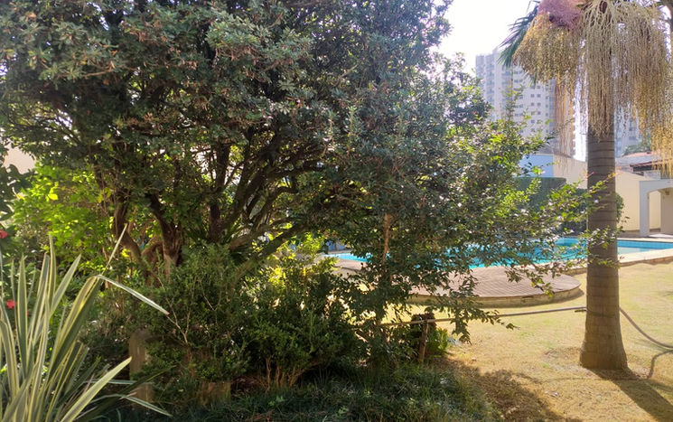 Espaço Geronto Saúde