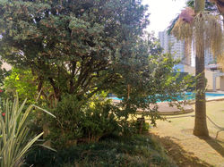 Espaço Geronto Saúde Suzano