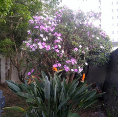 WhatsApp Image 2022-03-29 at 11.04.13.jpeg